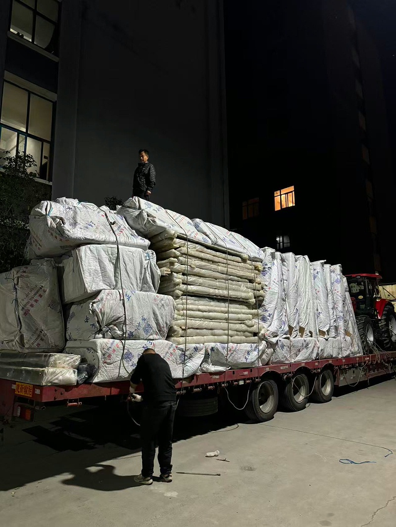 56ea3adc2590dddcccacfa5600684a98